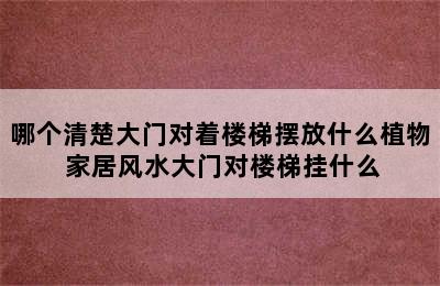 哪个清楚大门对着楼梯摆放什么植物 家居风水大门对楼梯挂什么